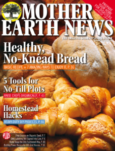 motherearthnewsdragonarticlecover